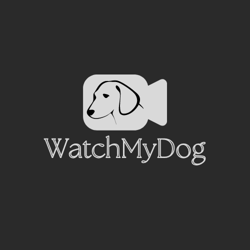 Watch My Dog